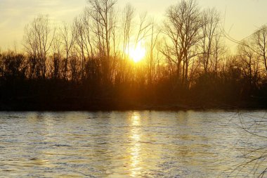 Nehirde gün doğumu ve sabah sisi. Su üzerindeki sis ve ağaçların göldeki yansıması. Doğa ve manzara. Güneşin mavi gökyüzünde belirdiği gün batımı. Sisli ve sisli manzara