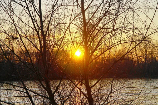 Sunrise River Morning Fog Mist Water Trees Forest Reflection Lake — Stock Photo, Image