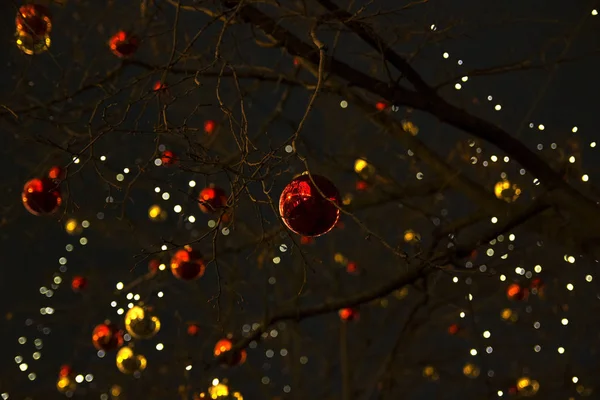 Christmas bollar på ett träd mot bakgrund av natten sk — Stockfoto