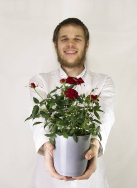 tatil - çiçek Esrar sarı Güllü için kolan