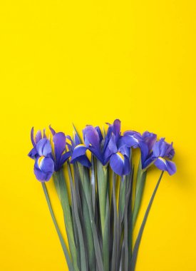 Çiçek kompozisyon. Üstten Görünüm