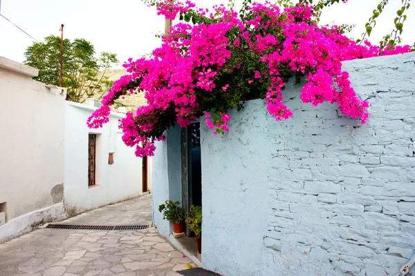 Cozy narrow street in Pano Lefkara village. Limassol District, Cyprus. — Stock Photo, Image
