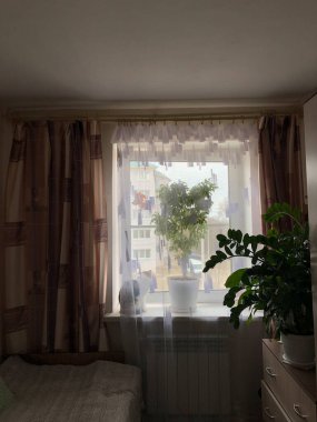 Pencere pervazında oturan bir kedi ve ev çiçekleri dışarı bakıyor..