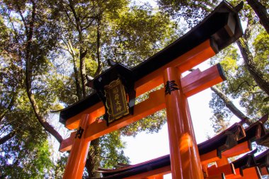 Kyoto, Japonya - 12 Mart 2018: Fushimi Inari Taisha tapınak bir