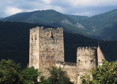 Tepedeki eski şato.