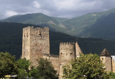 Tepedeki eski şato.