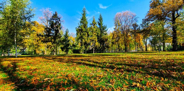 Sonbahar ormanlarında çeşitli parlak renkler vardır.