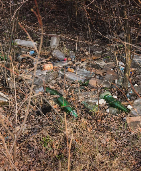 Lixo Floresta — Fotografia de Stock