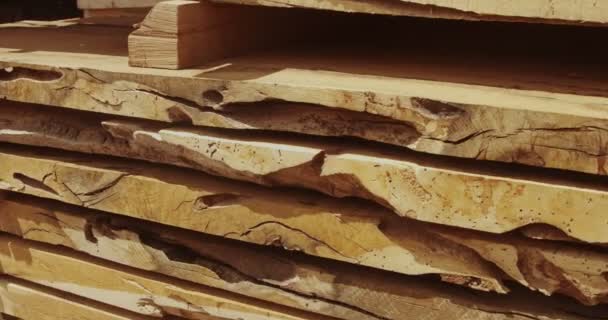 Man raakt een hout in boerderij — Stockvideo