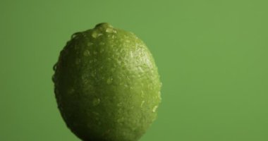 su damlaları ile kaplı yeşil zemin üzerine kendi ekseninde dönerek kireç