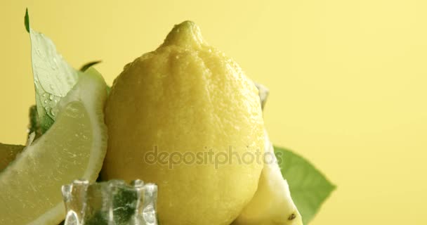 Склад лимонів, листя і кубиків льоду. Вкриті краплями води. Свіжа літня фруктова композиція — стокове відео