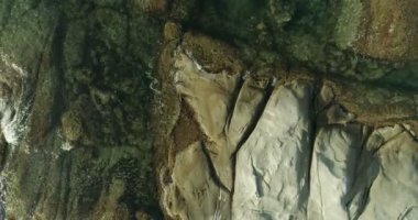 Üstten Görünüm gösteren uçak kayalar ve şeffaf bir hareket içinde bir su bitkileri ile deniz suyu temiz