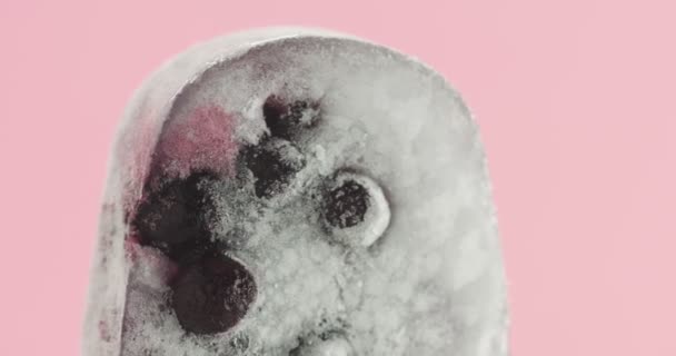 Blackberry frozen juise sorbet ice cream in stick — Stock Video