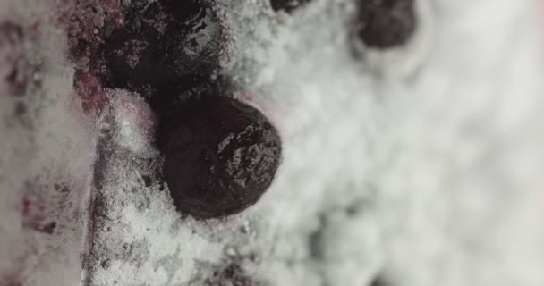 BlackBerry bevroren juise sorbet ijs in stok — Stockvideo