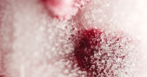 Helado helado congelado de frambuesa — Vídeos de Stock