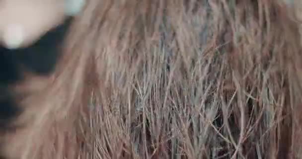 Slowmotion of drying hair process — Stock Video