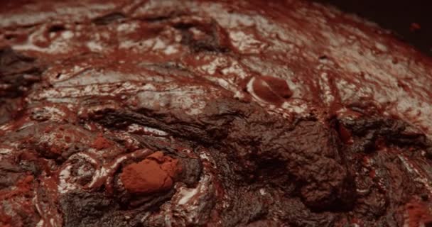 Uil met een getextureerde chocoladetaart — Stockvideo