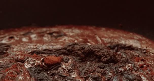 Coruja com um bolo de chocolate texturizado — Vídeo de Stock