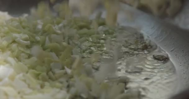 Cozinhar alho-porro e risoto de parmesão vídeo — Vídeo de Stock