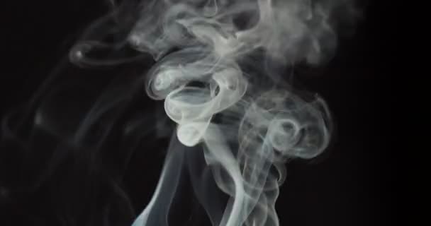 Slow motion video's van rook — Stockvideo