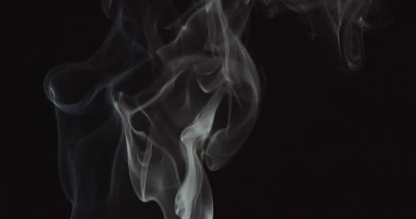 Slow motion video's van rook — Stockvideo