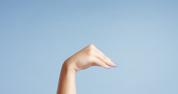 Womans hands closeup isolated on light blue — Stock Video