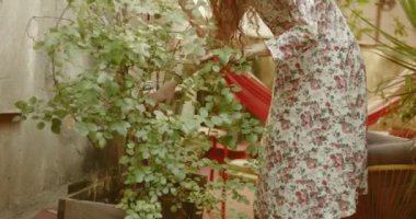 Küçük bir kent bahçe bakımı