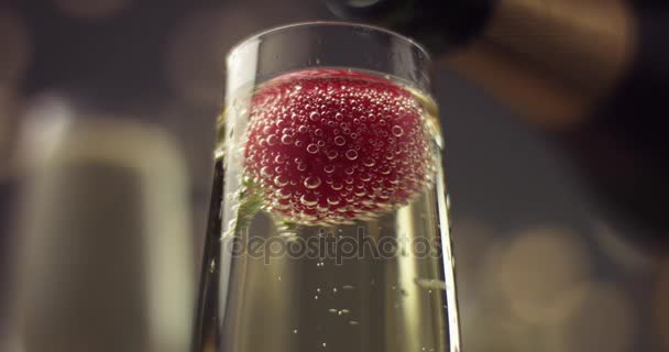 Glass of champagne with a strawberry floating — Stock Video
