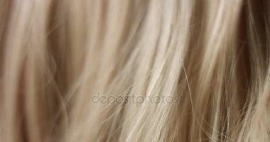 Kadının el saç dokunmadan makro çekim