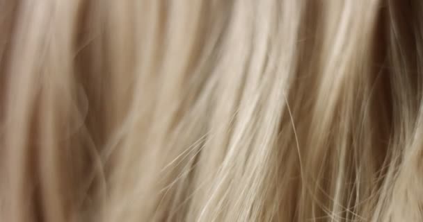 Macro shot de las mujeres mano tocando el pelo — Vídeos de Stock