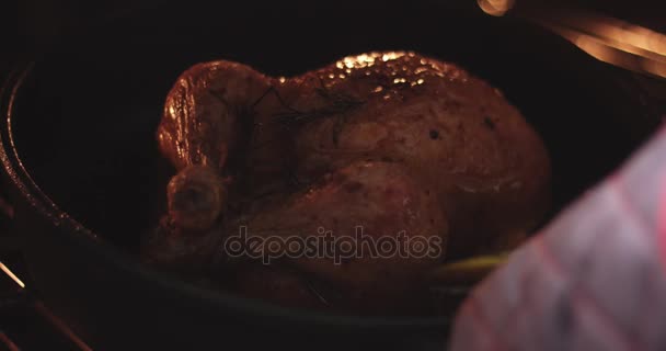 Tråckla stekheta kyckling med olja och juicer — Stockvideo