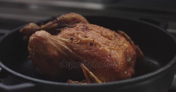 Basting roasting chicken with oil and juices — Stock Video