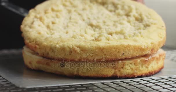 Ajouter de la crème et des fruits au gâteau — Video