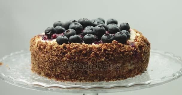 Delicious cake with custard cream and blueberries — Stock Video