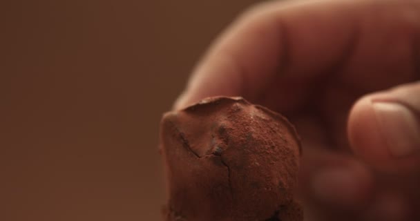 Текстура шоколадных трюфелей крупным планом — стоковое видео