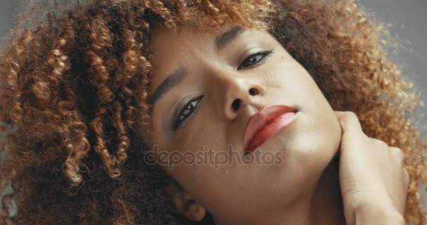 Mujer negra de raza mixta con retrato de maquillaje neutro — Vídeos de Stock