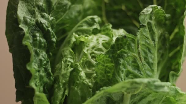 Salad leaves closeup movement on beige background — Stock Video