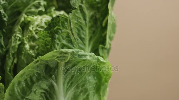 Salad leaves closeup movement on beige background — Stock Video