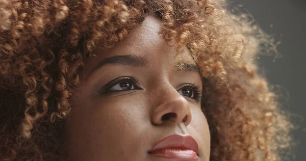 Femme noire métissée avec portrait de maquillage neutre — Photo