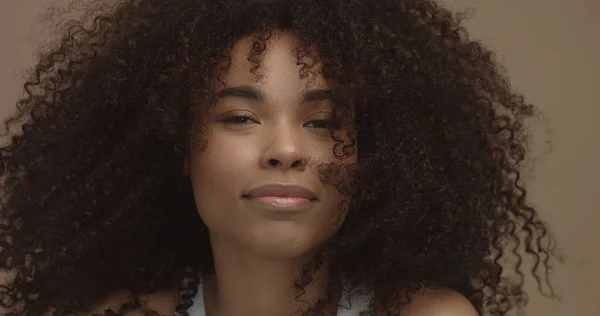 Retrato de mujer negra de raza mixta con gran pelo afro, pelo rizado —  Fotos de Stock