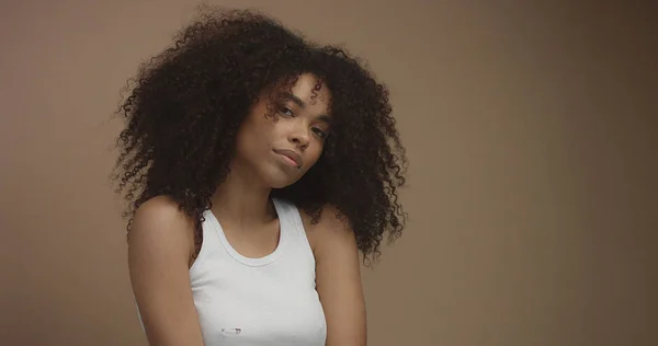 Retrato de mujer negra de raza mixta con gran pelo afro, pelo rizado —  Fotos de Stock