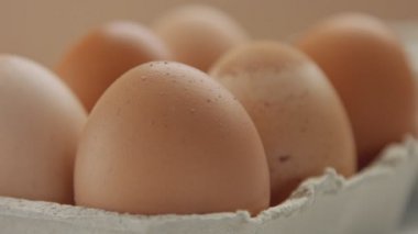 altı kahverengi yumurta closeup