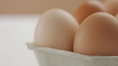 movemet closeup yumurta ve kadının el kalkış yakın yumurta tava