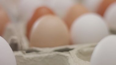 closeup kahverengi ve beyaz yumurta