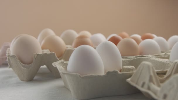 Huevos de diferentes colores procedentes de aves de corral diferentes — Vídeo de stock