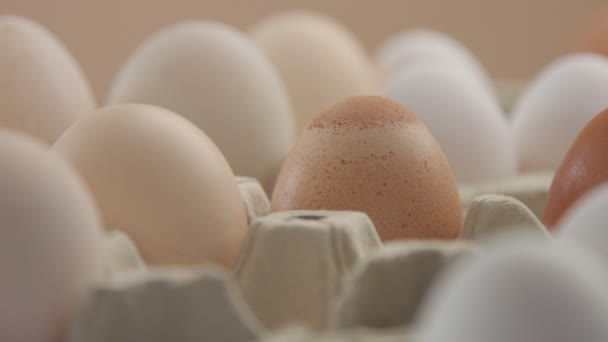 Huevos de diferentes colores procedentes de aves de corral diferentes — Vídeo de stock