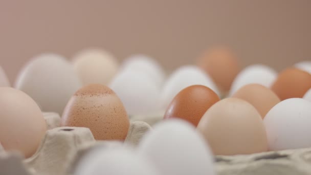 Білі і коричневі яйця в коробках — стокове відео