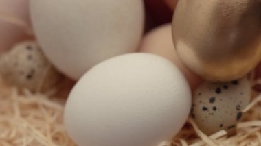 closeup farklı yumurta karışımı kapalı