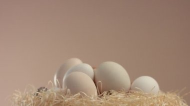 farklı bir kendi ekseni üzerinde haddeleme yumurta ile iç içe