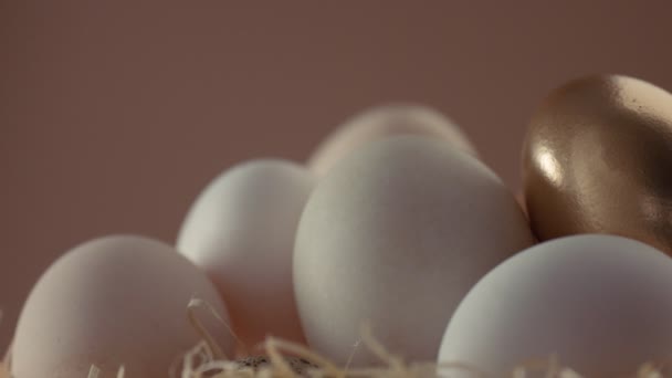 Closeup pan vídeo de diferentes tipos de ovos com um dourado — Vídeo de Stock